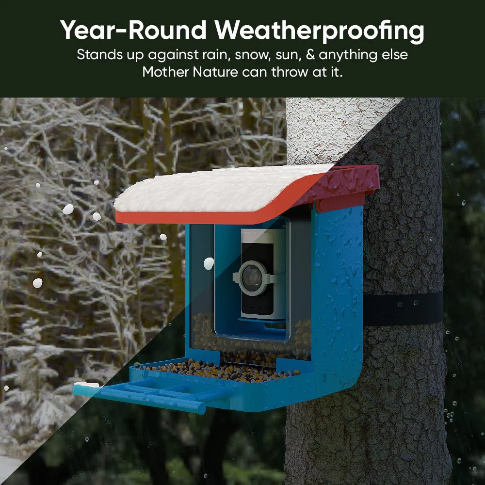 Bird Feeder Wireless Camera Bundle - Image 2