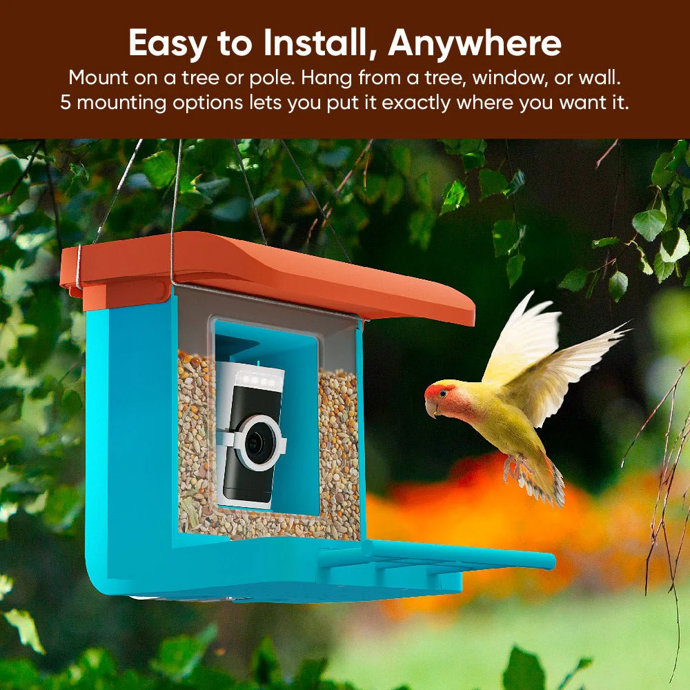 Bird Feeder Wireless Camera Bundle - Image 3