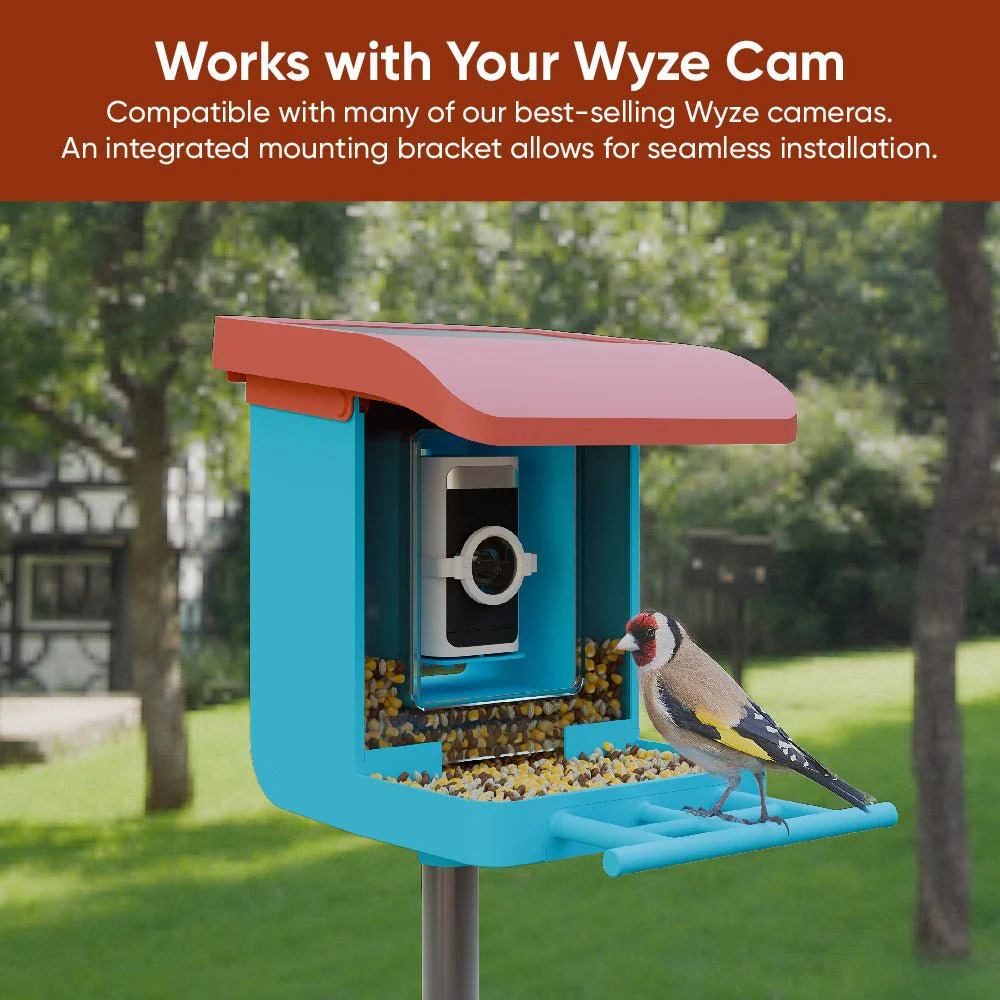 Bird Feeder Wireless Camera Bundle - Image 4
