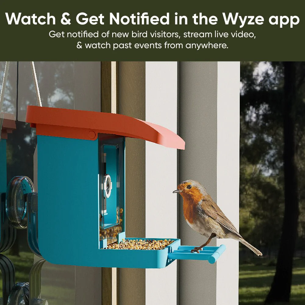 Bird Feeder Wireless Camera Bundle - Image 6