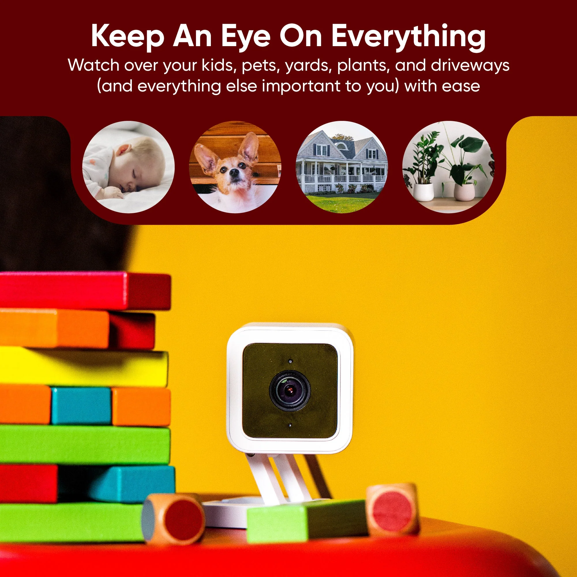 Wyze + Subway Small Business Bundle - Image 5